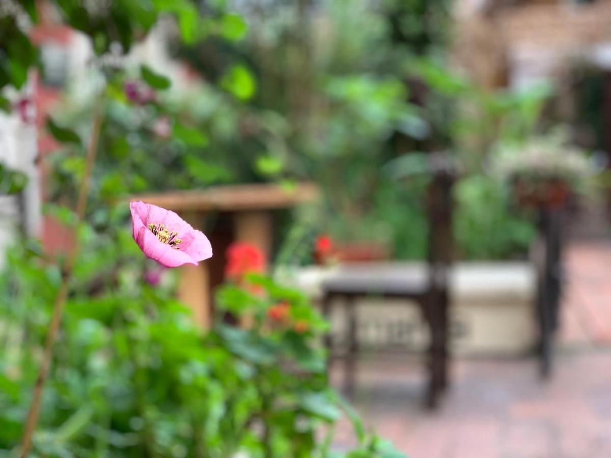 Hostal Yakumama Cuenca Ngoại thất bức ảnh