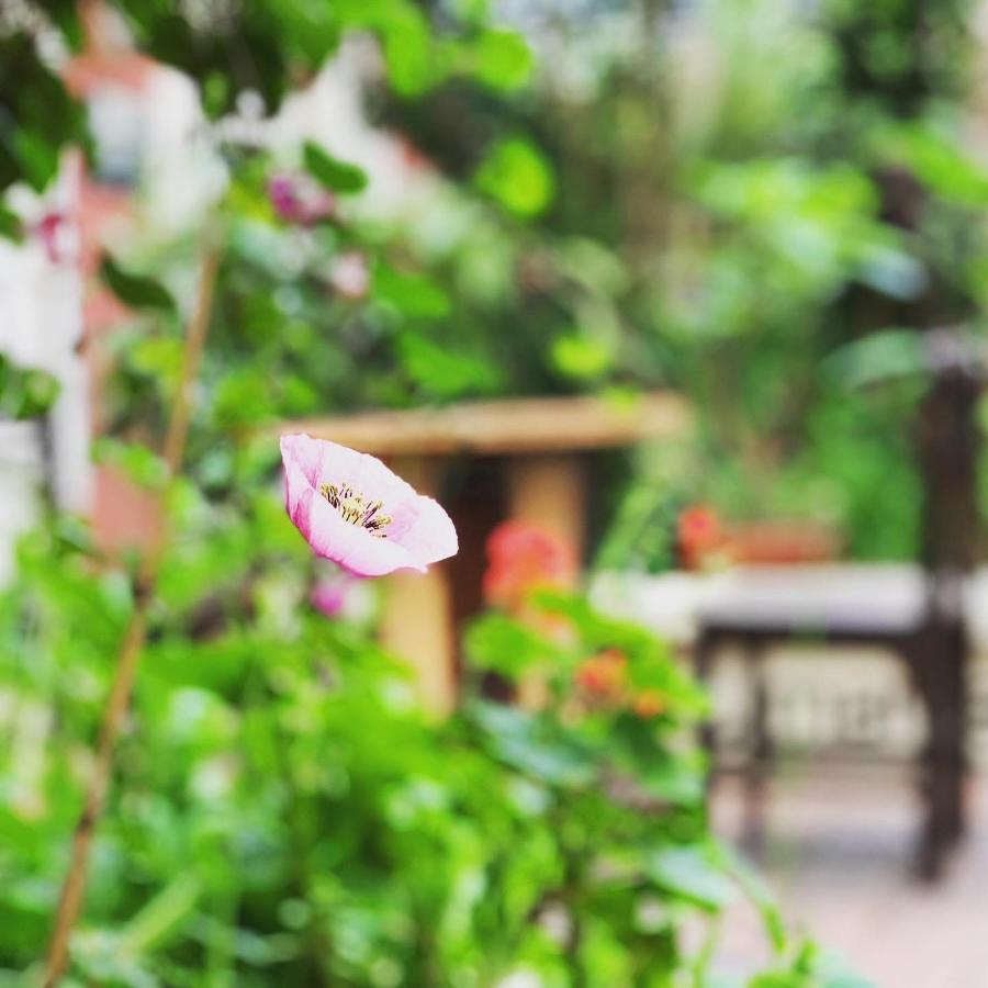 Hostal Yakumama Cuenca Ngoại thất bức ảnh